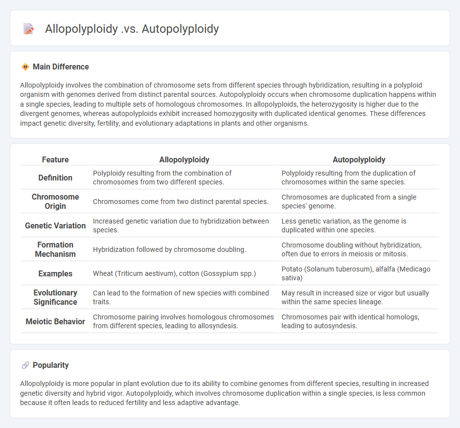 Allopolyploidy vs Autopolyploidy in Biology - Key Differences and Biological Significance