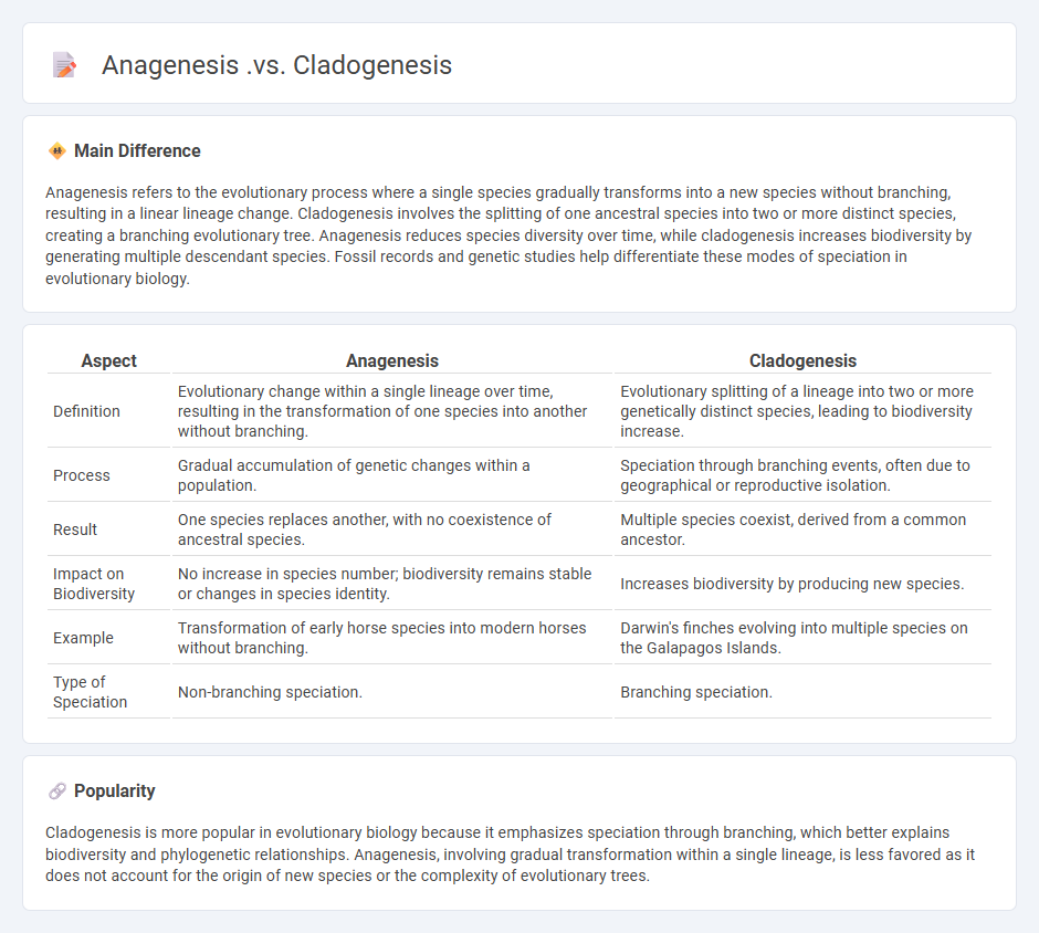Anagenesis vs Cladogenesis in Biology - Understanding Modes of Evolutionary Change