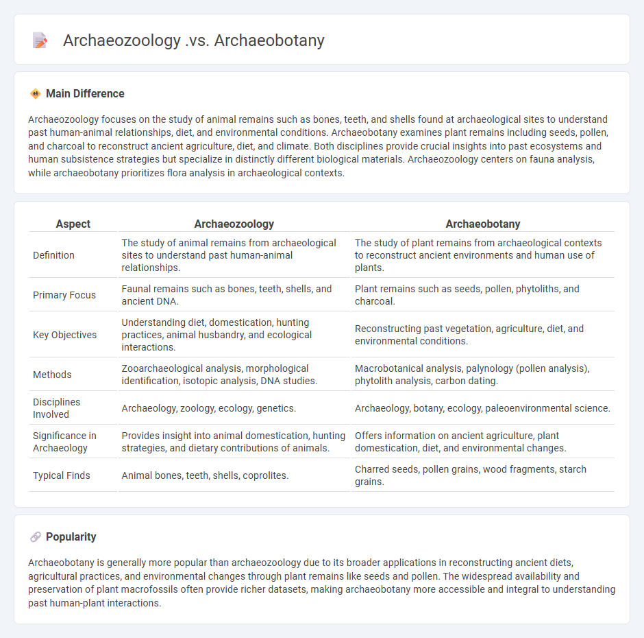 The Difference Between Archaeozoology vs Archaeobotany - Why We Need to Distinguish Animal and Plant Remains in Archaeology