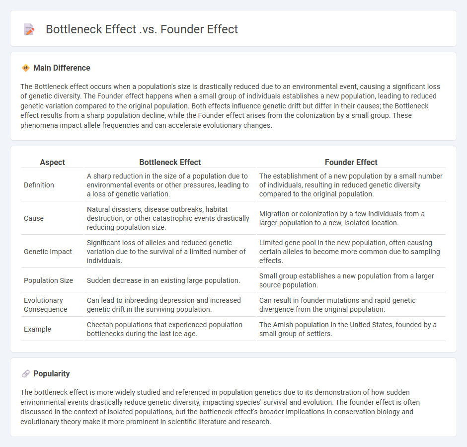 Bottleneck Effect vs Founder Effect in Biology - Key Differences and Implications