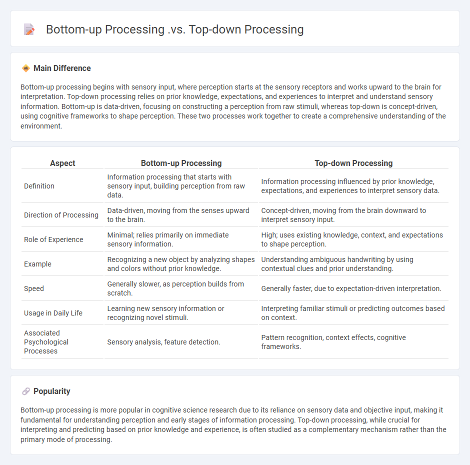 Bottom-up Processing vs Top-down Processing in Psychology - Understanding How We Interpret Information