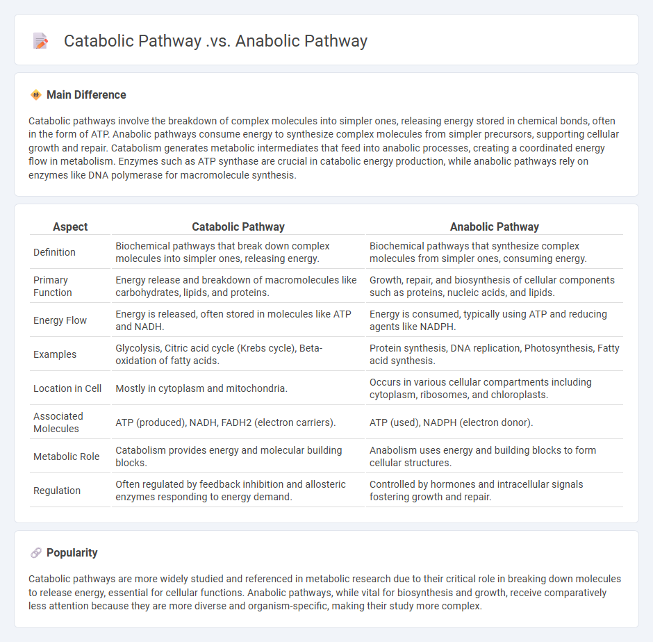 Catabolic Pathway vs Anabolic Pathway in Biology - Understanding the Key Differences