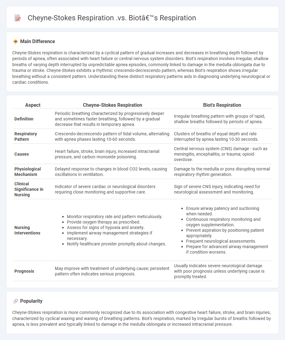 Cheyne-Stokes Respiration vs Biot's Respiration - Key Differences for Nursing Practice