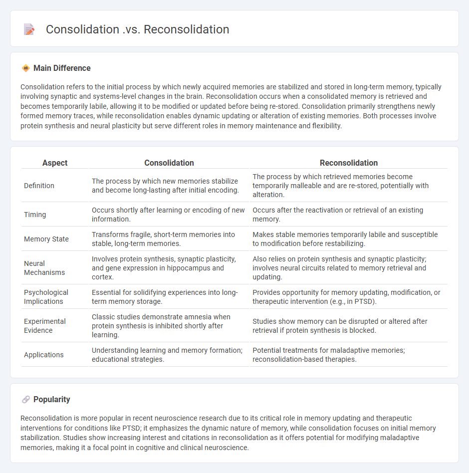Consolidation vs Reconsolidation in Psychology - Understanding Memory Formation and Update
