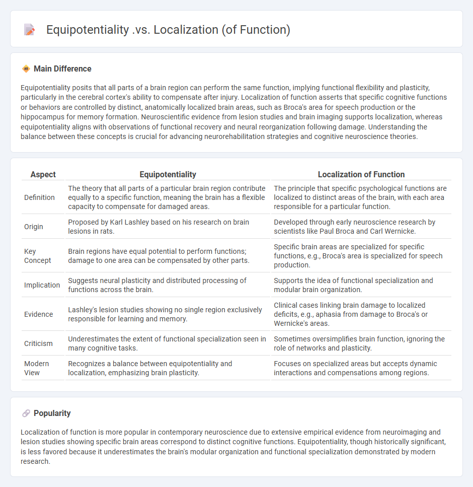 Equipotentiality vs Localization of Function in Psychology - Understanding How the Brain Processes Functions