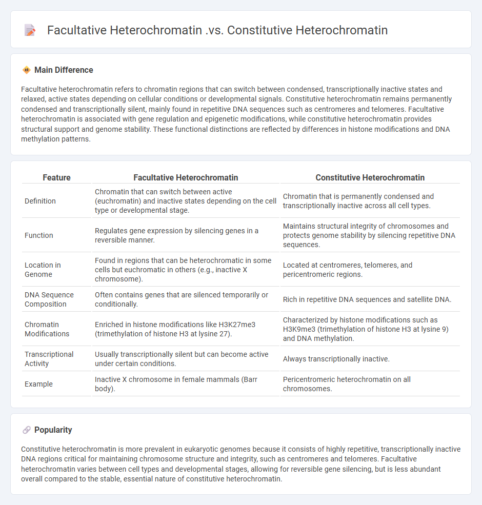 Facultative Heterochromatin vs Constitutive Heterochromatin - Key Differences in Chromatin Biology