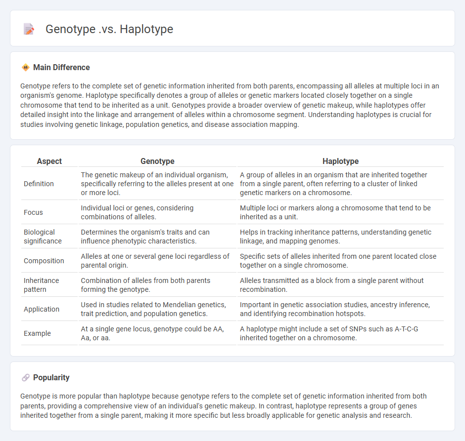 Genotype vs Haplotype in Biology - Key Differences and Their Significance
