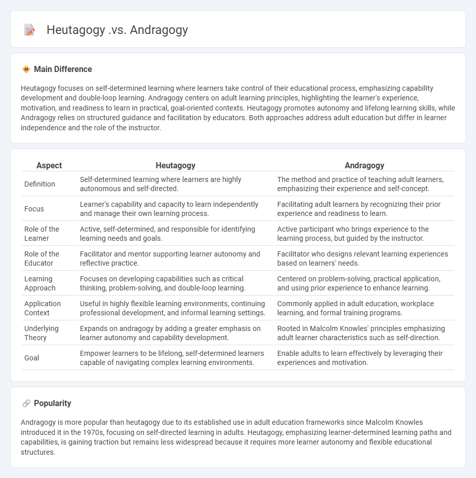 Heutagogy vs Andragogy: Understanding the Key Differences in Adult Learning Approaches