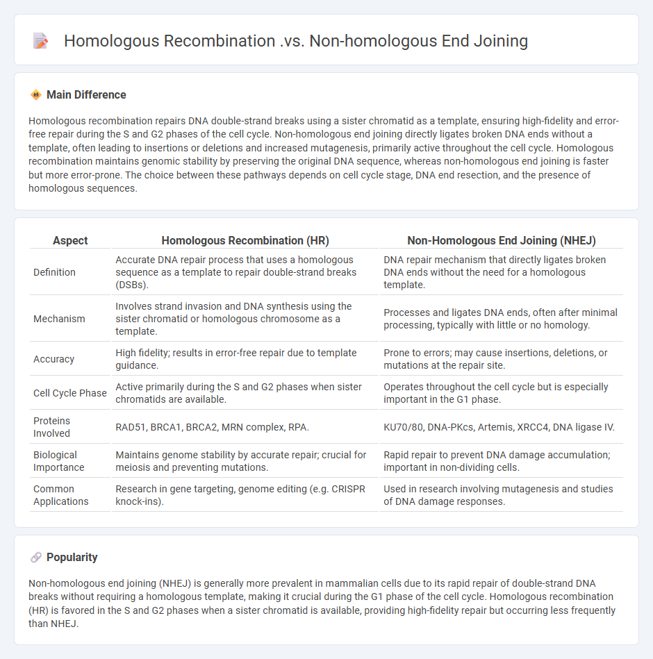 Homologous Recombination vs Non-Homologous End Joining in DNA Repair: Key Mechanisms and Differences