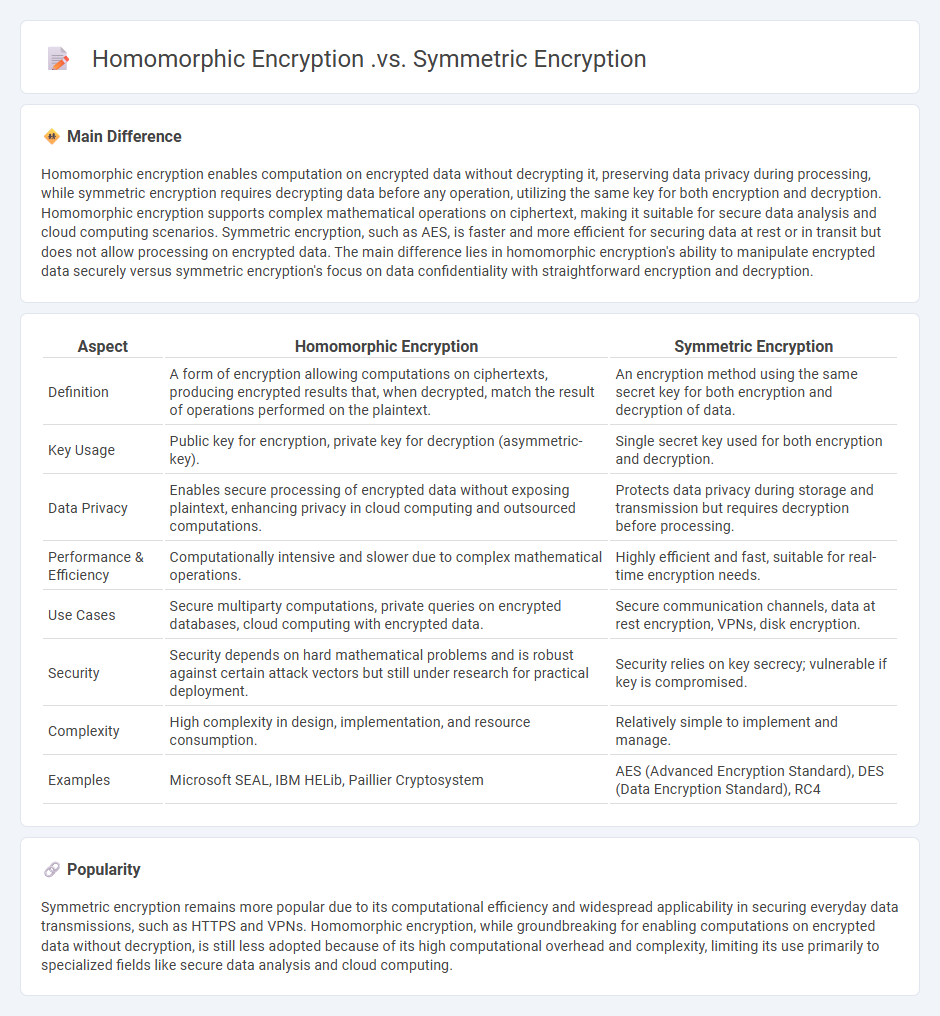 Homomorphic Encryption vs Symmetric Encryption in Computing - Key Differences and Use Cases