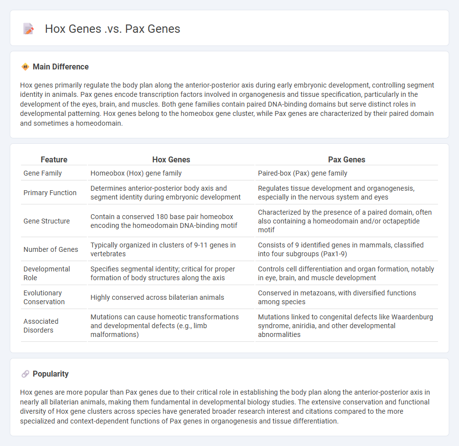 Hox Genes vs Pax Genes in Biology - Key Differences and Their Roles in Development