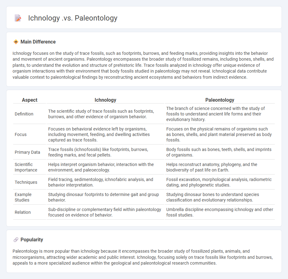 Ichnology vs Paleontology - Key Differences in Studying Ancient Life