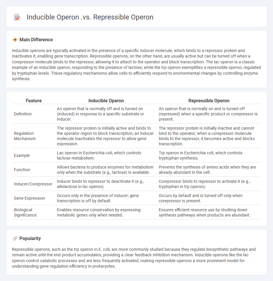 Inducible Operon vs Repressible Operon in Biology - Understanding the Key Differences