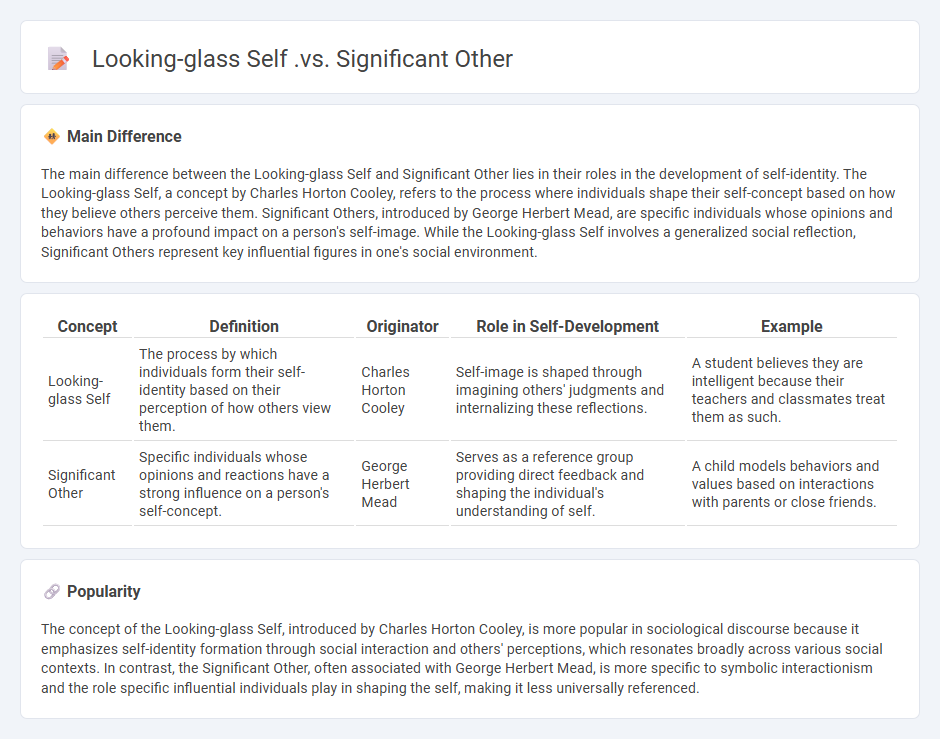 Looking-glass Self vs Significant Other in Sociology - Understanding Their Distinct Roles in Socialization