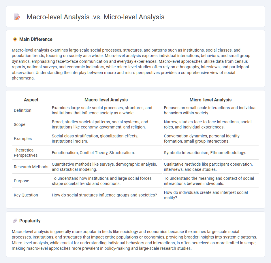 Macro-level Analysis vs Micro-level Analysis in Sociology - Understanding the Key Differences