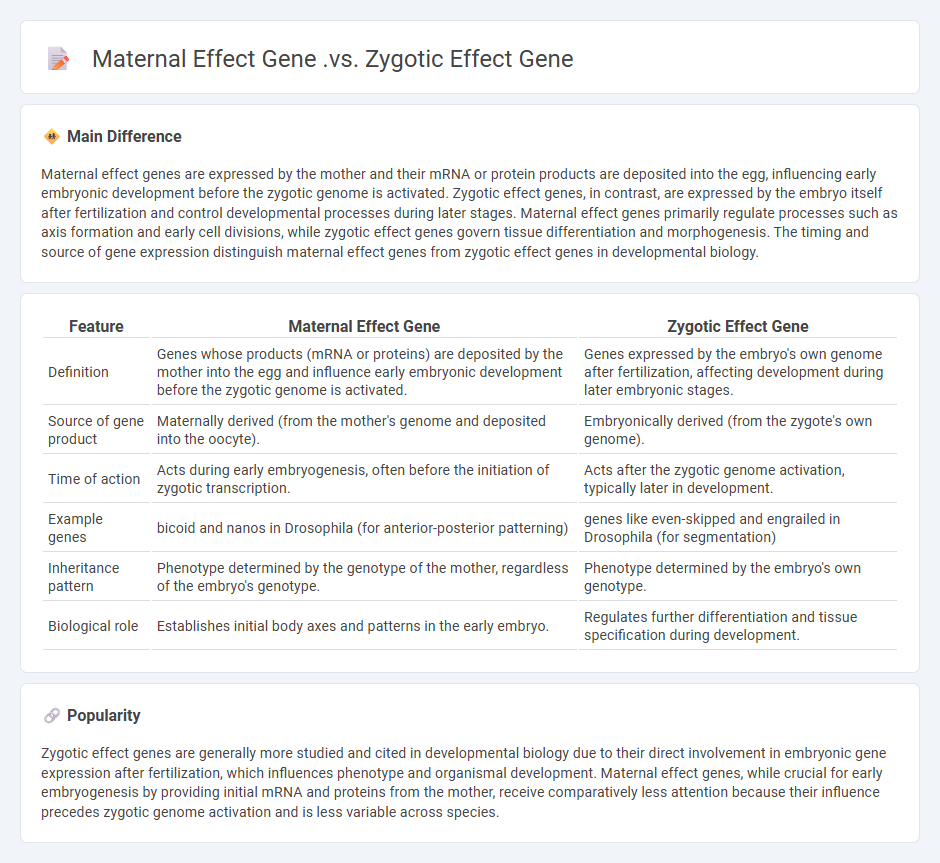 Maternal Effect Gene vs Zygotic Effect Gene in Biology - Key Differences and Functions