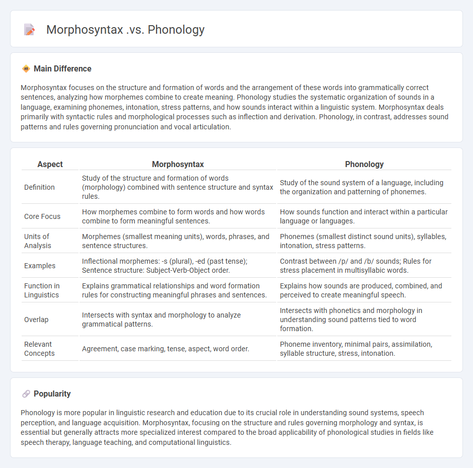 The Difference Between Morphosyntax vs Phonology in English Language Structure