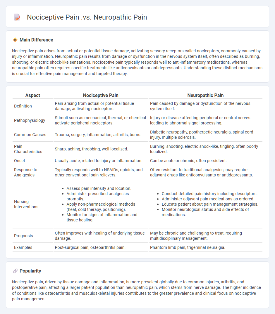 Nociceptive Pain vs Neuropathic Pain in Nursing: Key Differences and Implications for Patient Care