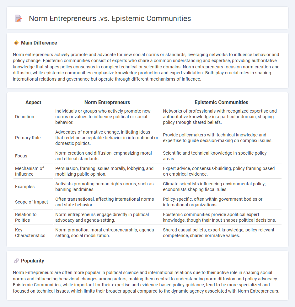 Norm Entrepreneurs vs Epistemic Communities in Politics - Key Differences and Their Impact