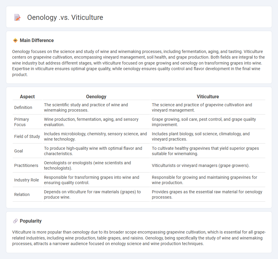 Oenology vs Viticulture - Understanding the Key Differences in Wine Science and Grape Growing