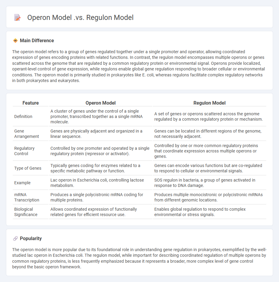 Operon Model vs Regulon Model in Biology - Key Differences and Functional Significance