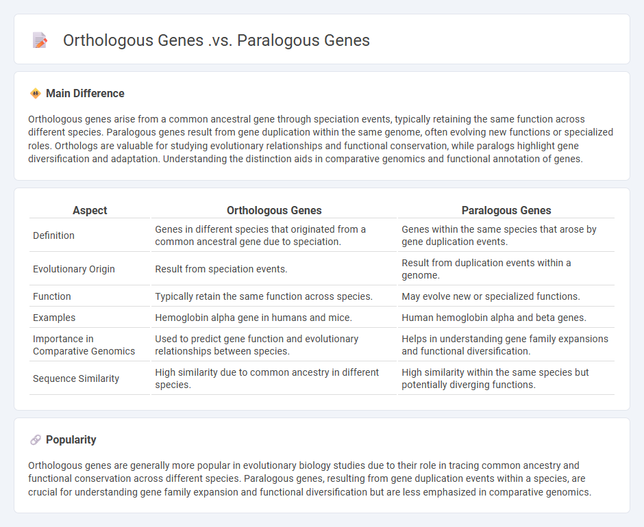 Orthologous Genes vs Paralogous Genes - Key Differences in Gene Evolution