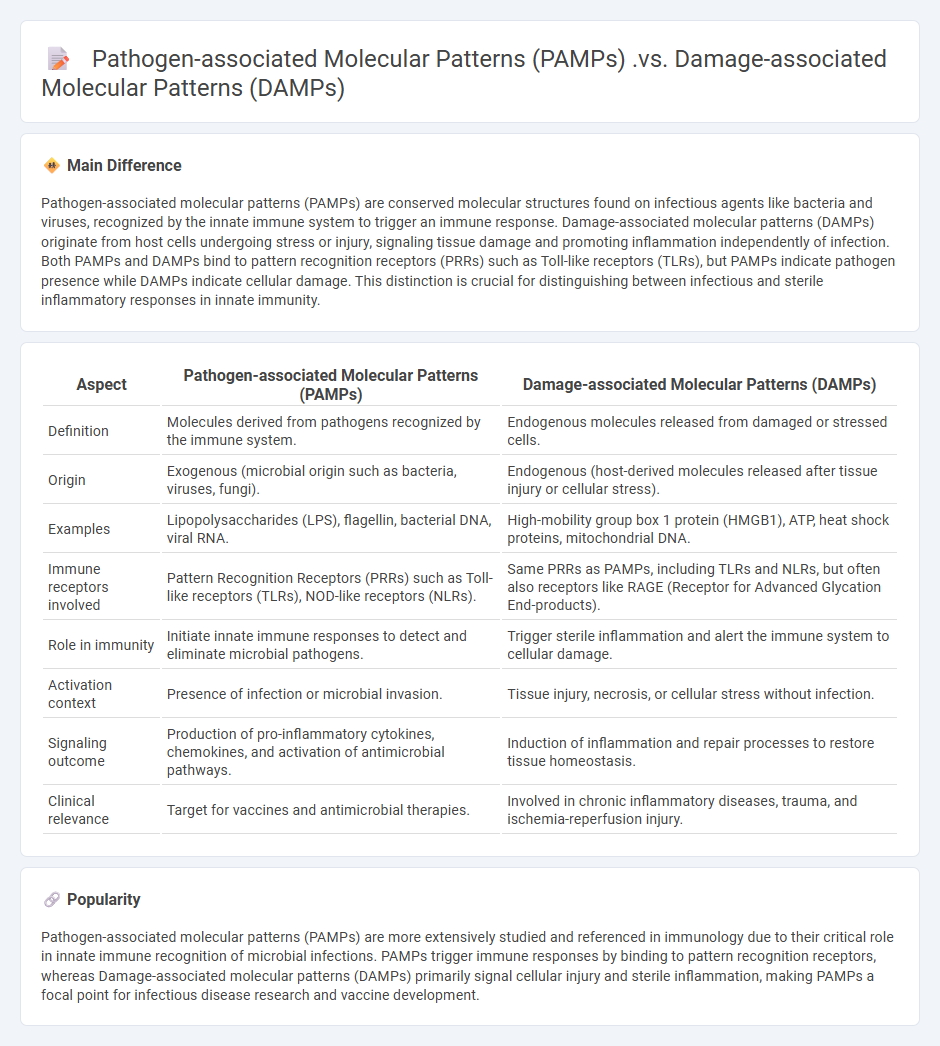 PAMPs vs DAMPs: Understanding the Key Differences in Innate Immune Response
