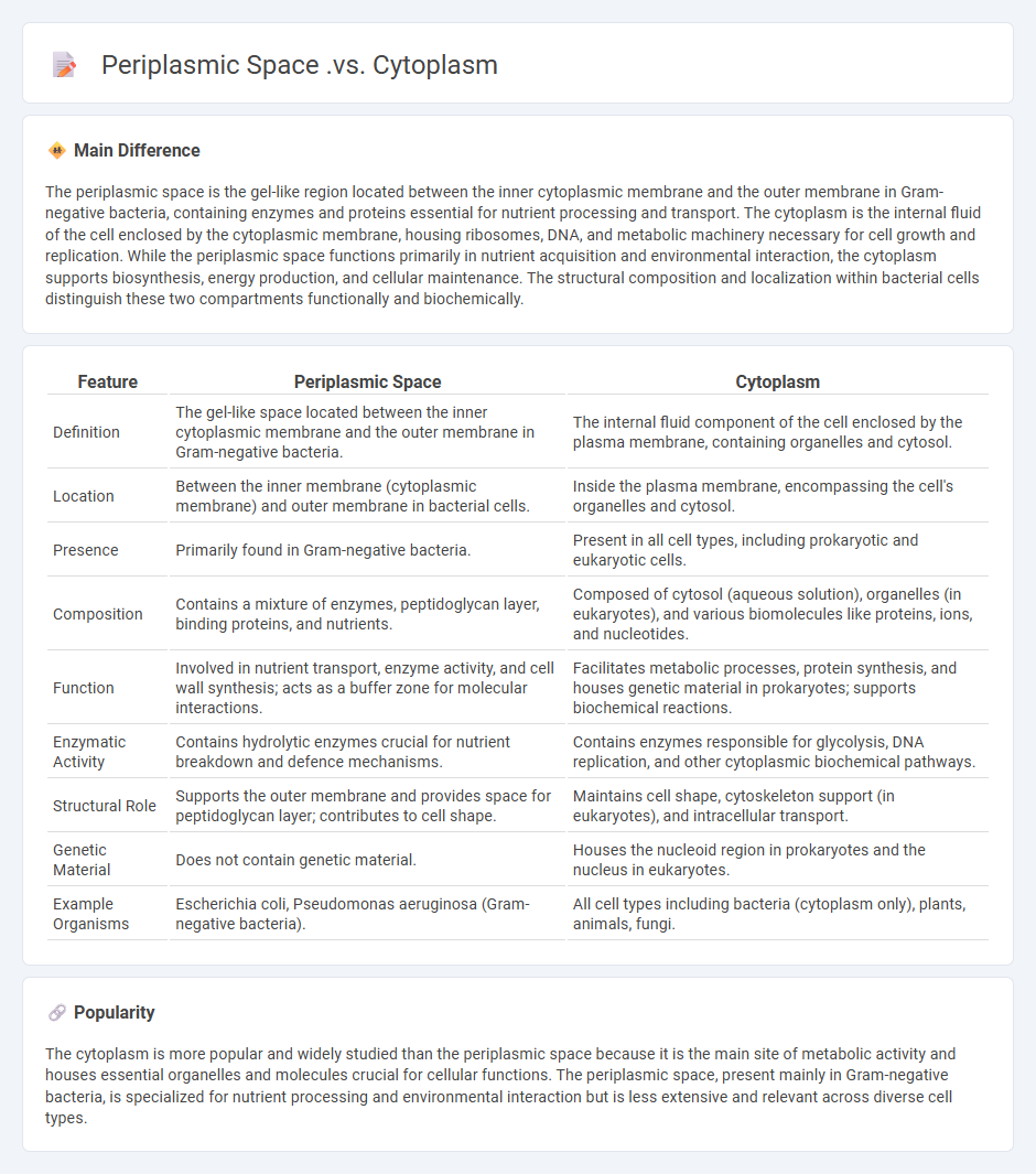Periplasmic Space vs Cytoplasm in Biology - Key Differences and Functions