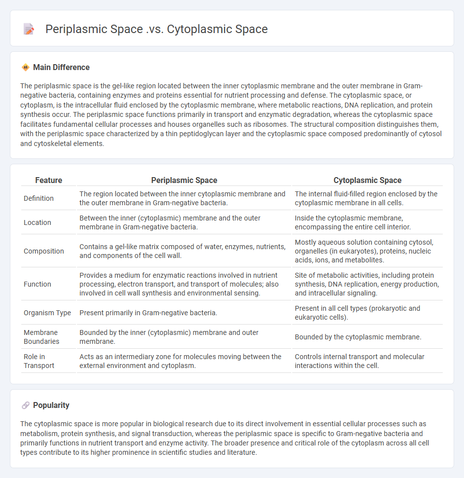 Periplasmic Space vs Cytoplasmic Space in Biology - Key Differences and Functions