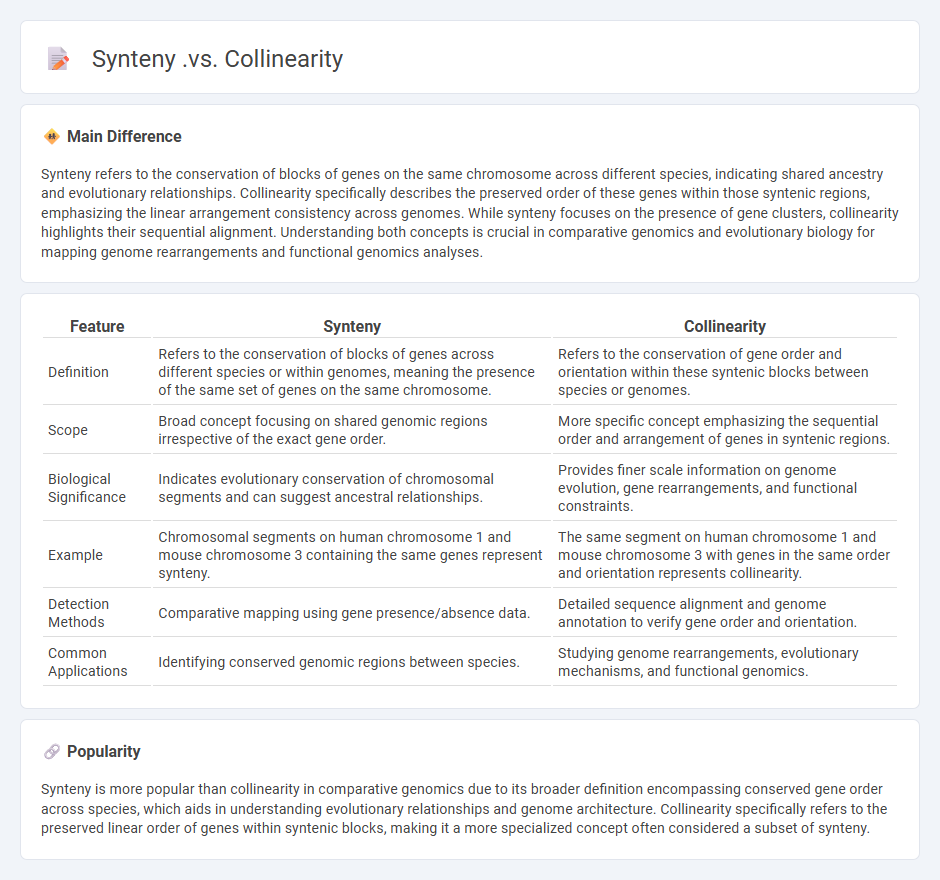 Synteny vs Collinearity in Biology - Key Differences and Biological Significance
