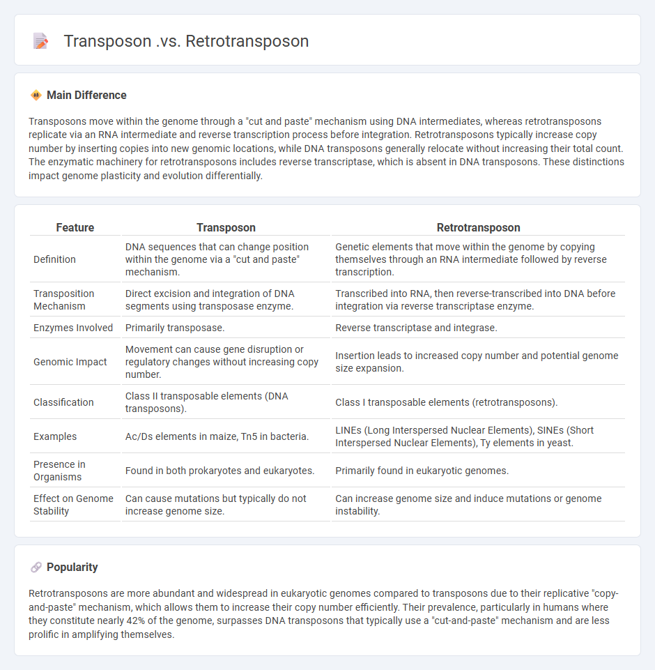 Transposon vs Retrotransposon: Key Differences in Their Biological Roles